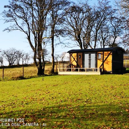 Pen-Rhos Luxury Glamping "Cuckoo'S Nest" Villa Llandrindod Wells Buitenkant foto