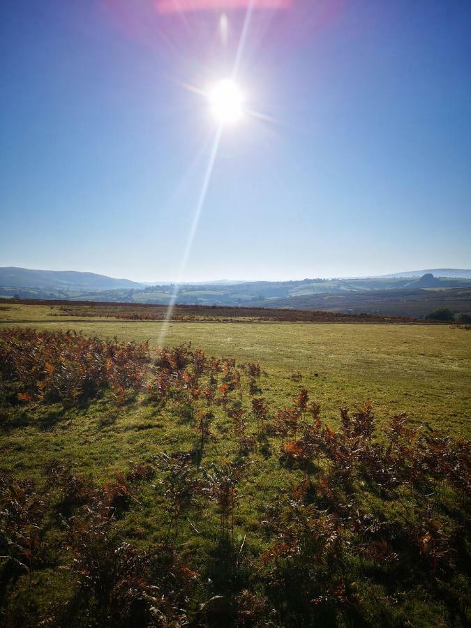 Pen-Rhos Luxury Glamping "Cuckoo'S Nest" Villa Llandrindod Wells Buitenkant foto