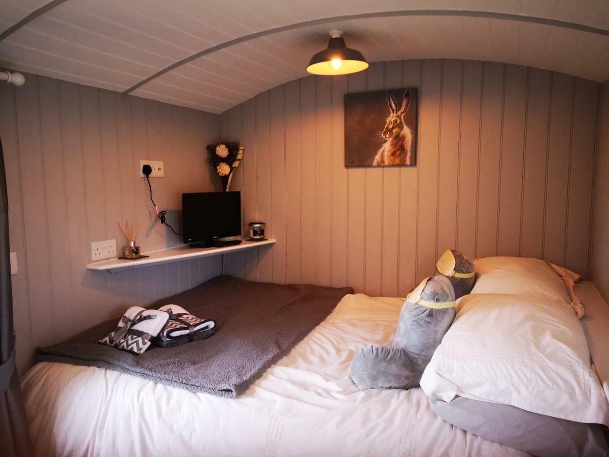 Pen-Rhos Luxury Glamping "Cuckoo'S Nest" Villa Llandrindod Wells Buitenkant foto