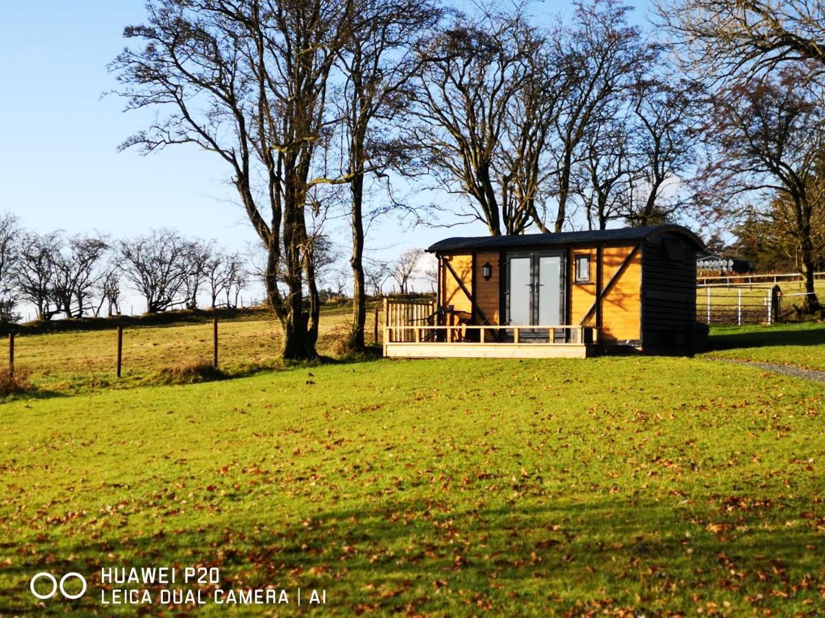 Pen-Rhos Luxury Glamping "Cuckoo'S Nest" Villa Llandrindod Wells Buitenkant foto
